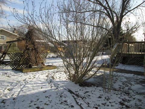 443 Harbor Ter, Bartlett, IL 60103 photo 20