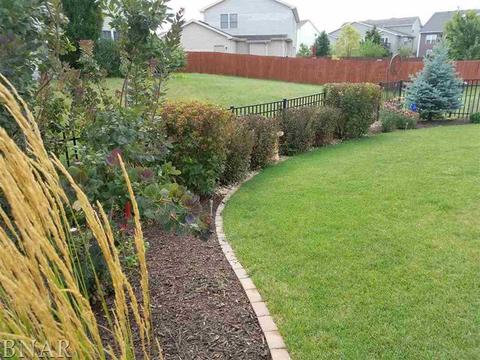 1018 Granite Way, Normal, IL 61761 photo 27