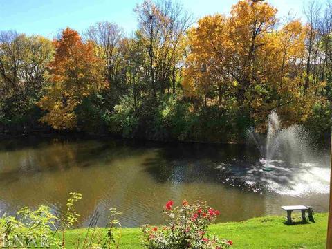 9168 Abbey, Downs, IL 61736 photo 27