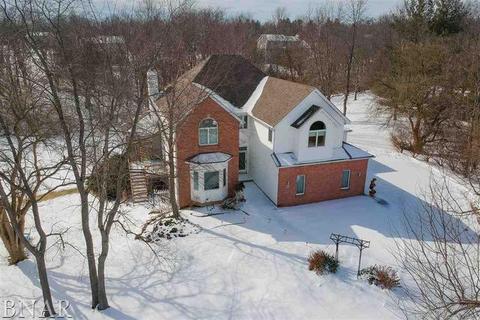 9168 Abbey, Downs, IL 61736 photo 3