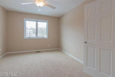 9168 Abbey, Downs, IL 61736 photo 18