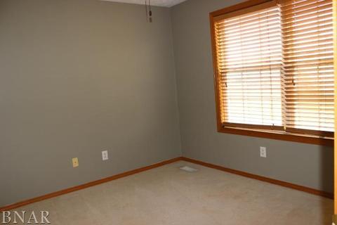 1521 Henry, Normal, IL 61761 photo 21