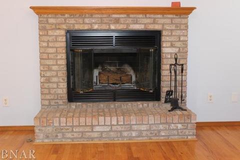 1521 Henry, Normal, IL 61761 photo 3