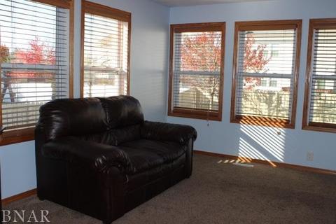 1521 Henry, Normal, IL 61761 photo 10