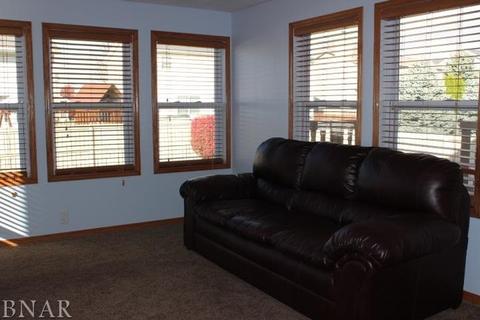 1521 Henry, Normal, IL 61761 photo 9