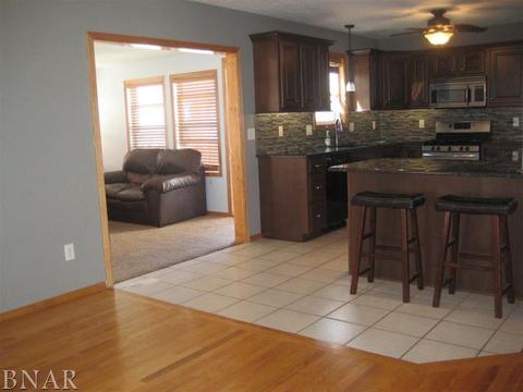 1521 Henry, Normal, IL 61761 photo 7