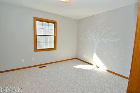1315 Limerick Ln, Normal, IL 61761 photo 17