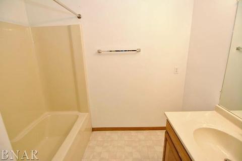 1315 Limerick Ln, Normal, IL 61761 photo 24
