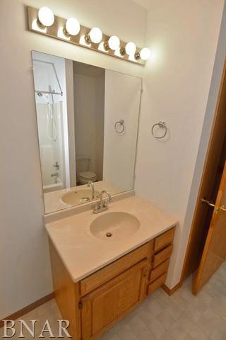 1315 Limerick Ln, Normal, IL 61761 photo 25
