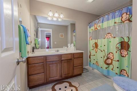 1101 Teegan, Normal, IL 61761 photo 25