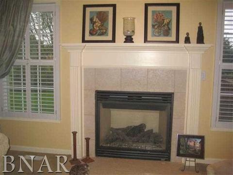 326 Fieldcrest, Normal, IL 61761 photo 6