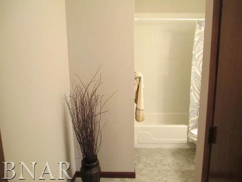 1815 Taft, Normal, IL 61761 photo 13