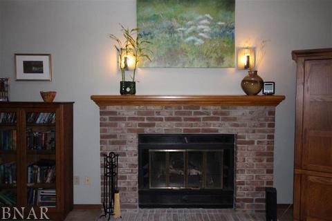 1611 Baumgart, Normal, IL 61761 photo 9