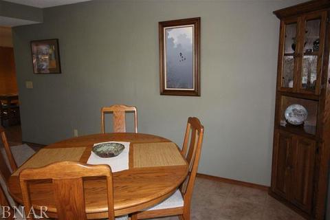 1611 Baumgart, Normal, IL 61761 photo 11