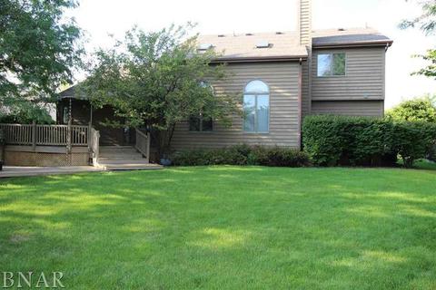 1611 Baumgart, Normal, IL 61761 photo 26