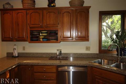 1611 Baumgart, Normal, IL 61761 photo 5