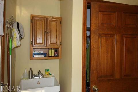 1611 Baumgart, Normal, IL 61761 photo 13