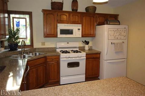 1611 Baumgart, Normal, IL 61761 photo 4
