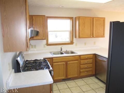 115 Mallard Ct, Downs, IL 61736 photo 4