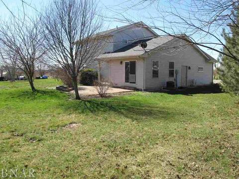 115 Mallard Ct, Downs, IL 61736 photo 20