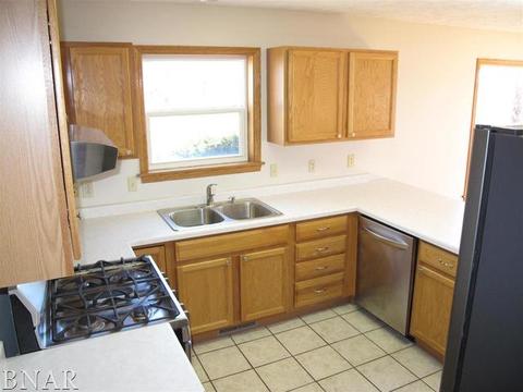 115 Mallard Ct, Downs, IL 61736 photo 11