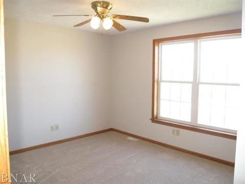 115 Mallard Ct, Downs, IL 61736 photo 14