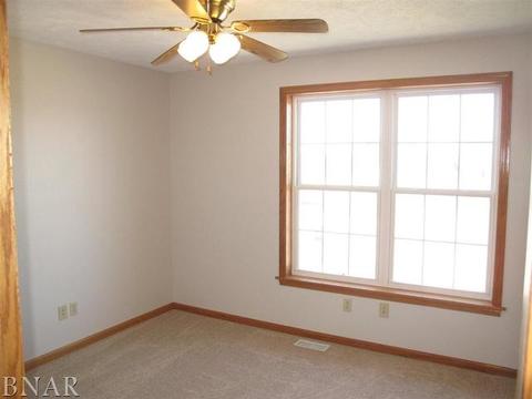 115 Mallard Ct, Downs, IL 61736 photo 13
