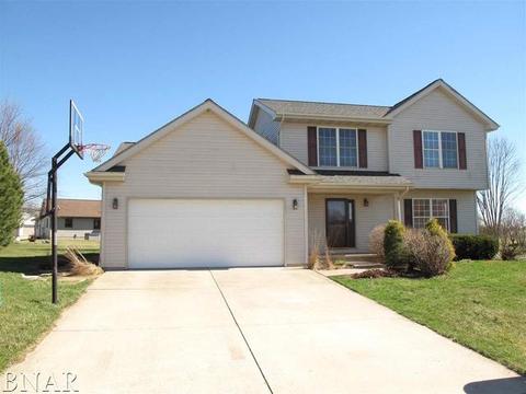 115 Mallard Ct, Downs, IL 61736 photo 21