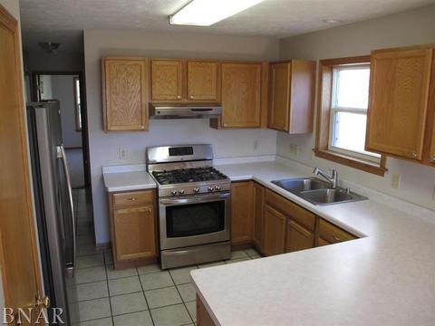 115 Mallard Ct, Downs, IL 61736 photo 5