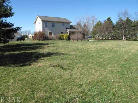 115 Mallard Ct, Downs, IL 61736 photo 18