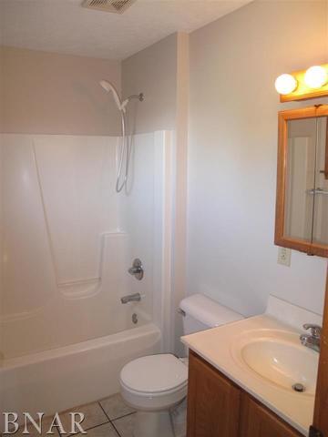 115 Mallard Ct, Downs, IL 61736 photo 15