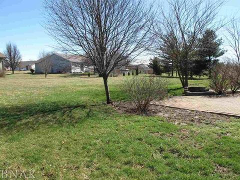 115 Mallard Ct, Downs, IL 61736 photo 19