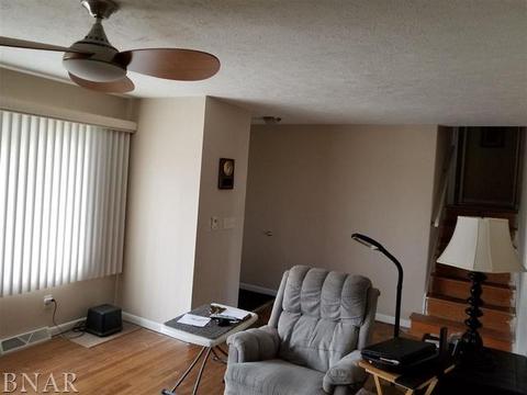 110 Eugene, Towanda, IL 61776 photo 3
