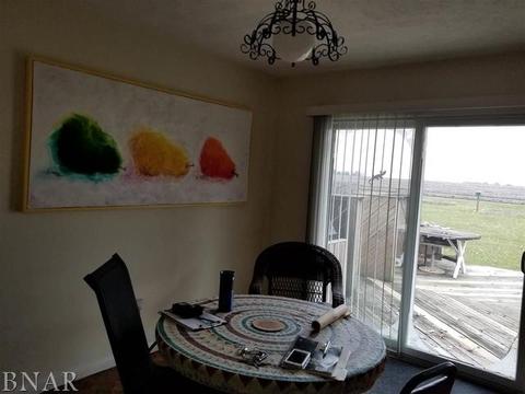 110 Eugene, Towanda, IL 61776 photo 28