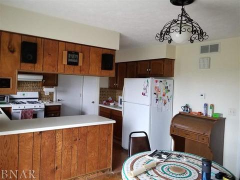 110 Eugene, Towanda, IL 61776 photo 29