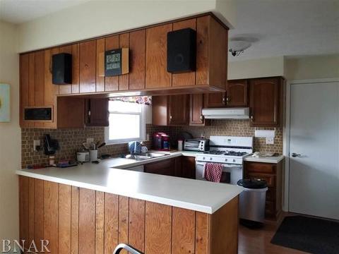110 Eugene, Towanda, IL 61776 photo 26