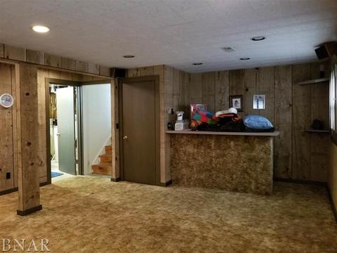 110 Eugene, Towanda, IL 61776 photo 22