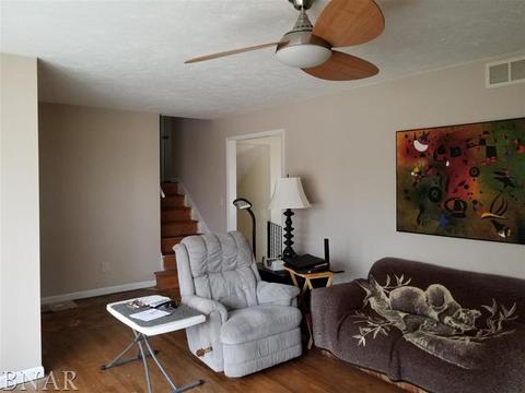 110 Eugene, Towanda, IL 61776 photo 4