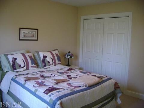 2304 N Bridge Dr, Normal, IL 61761 photo 23