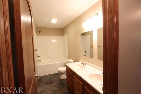 607 Lincoln, Chenoa, IL 61726 photo 15