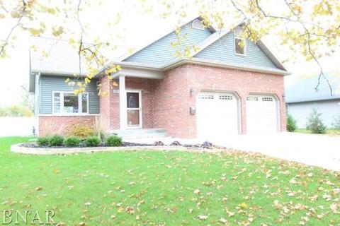 607 Lincoln, Chenoa, IL 61726 photo 2