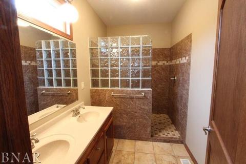607 Lincoln, Chenoa, IL 61726 photo 8