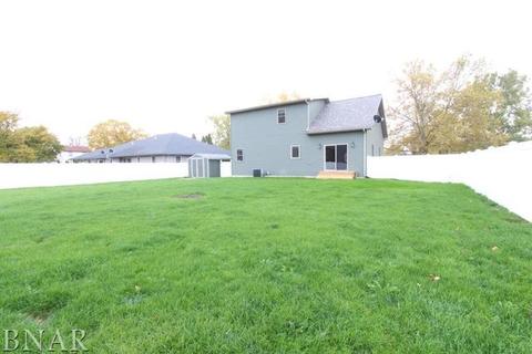 607 Lincoln, Chenoa, IL 61726 photo 19