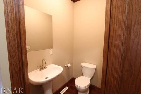 607 Lincoln, Chenoa, IL 61726 photo 11