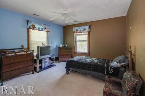 215 E Washington St, Carlock, IL 61725 photo 24