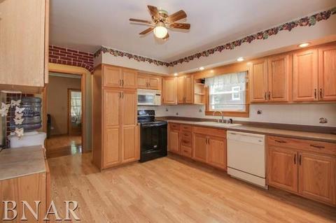 215 E Washington St, Carlock, IL 61725 photo 11