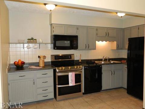 107 N Orr #D, Normal, IL 61761 photo 9