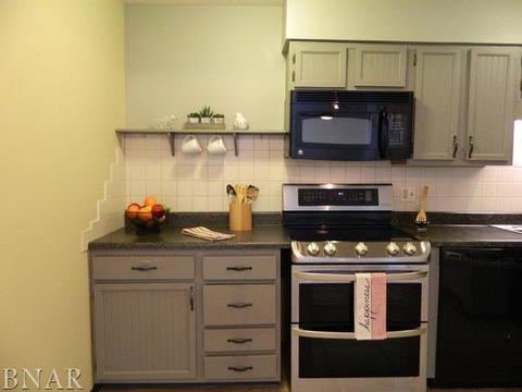 107 N Orr #D, Normal, IL 61761 photo 11