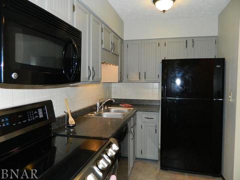 107 N Orr #D, Normal, IL 61761 photo 10