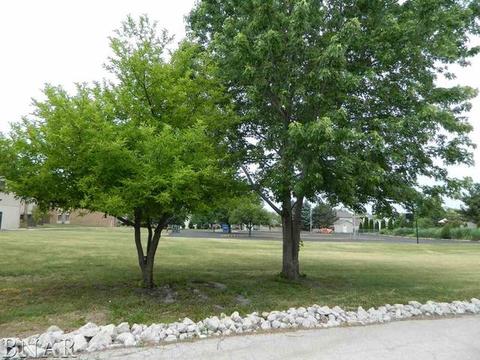 107 N Orr #D, Normal, IL 61761 photo 42